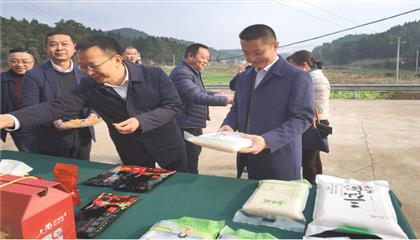 市委常委、政法委書記劉波濤帶隊調(diào)研指導(dǎo)定點幫扶村鄉(xiāng)村振興工作